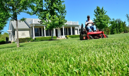 Spring Lawn Care Tips