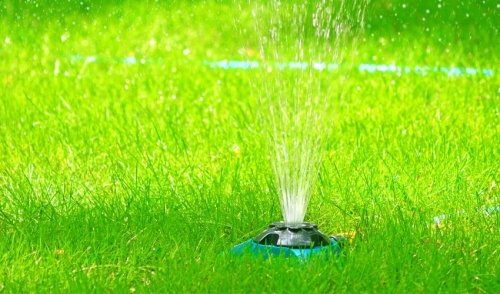 Watering lawn